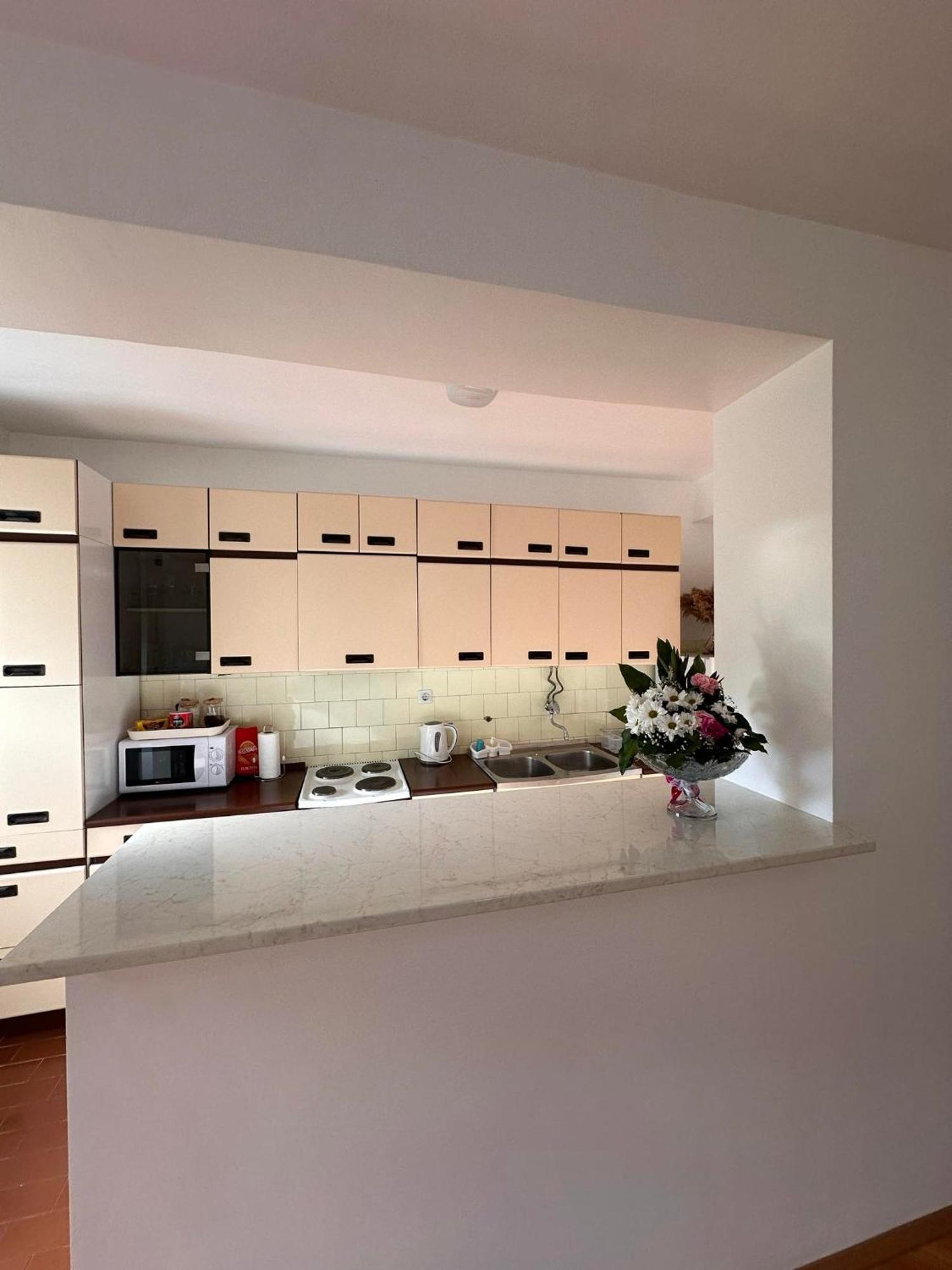 Viktor Apartment Kumanovo Buitenkant foto